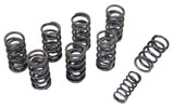 Valve Springs, Dual, High-Rev